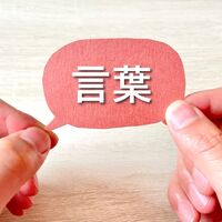 画像4111